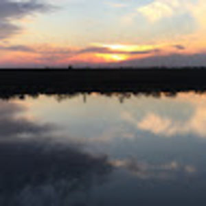 Meet your Posher, Bridget